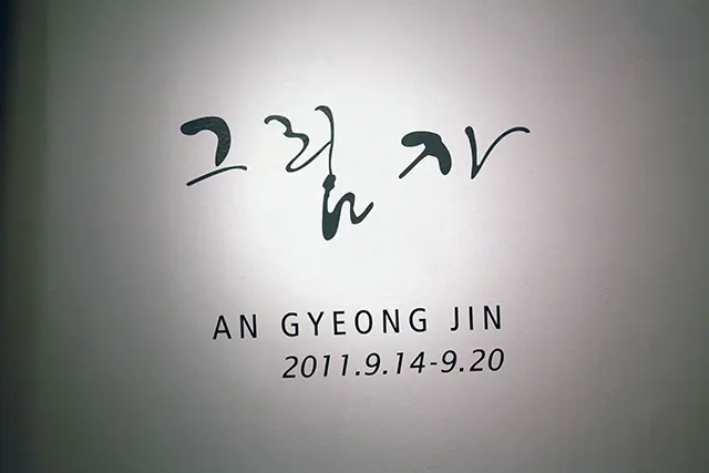 2011 그림자
