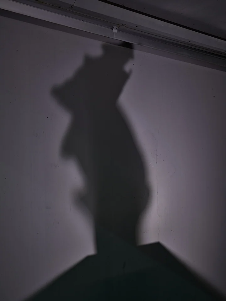 퓨전