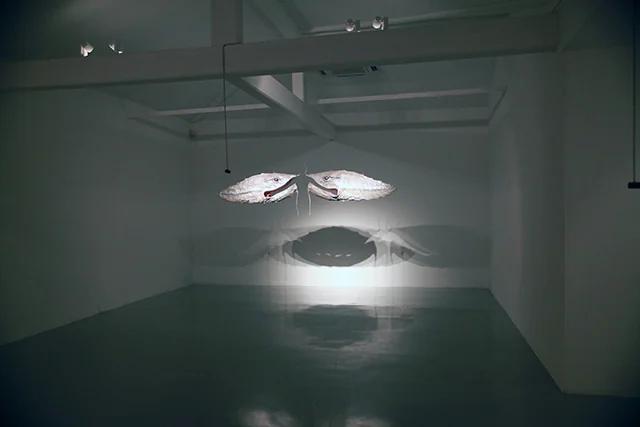 2011 그림자